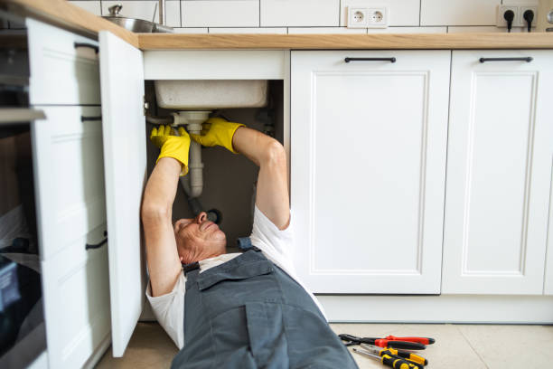  Mount Penn, PA Plumbing Pros